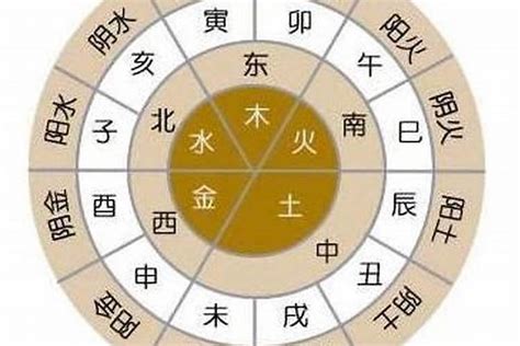 金旺 五行|八字五行金旺代表什么 (八字金过旺是什么意思)